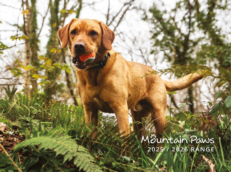 Lifesystems BoxNet Double Moskitonetz Für Reisen - Robustes Insektenschutznetz Mit EX8 Permethrin-Behandlung